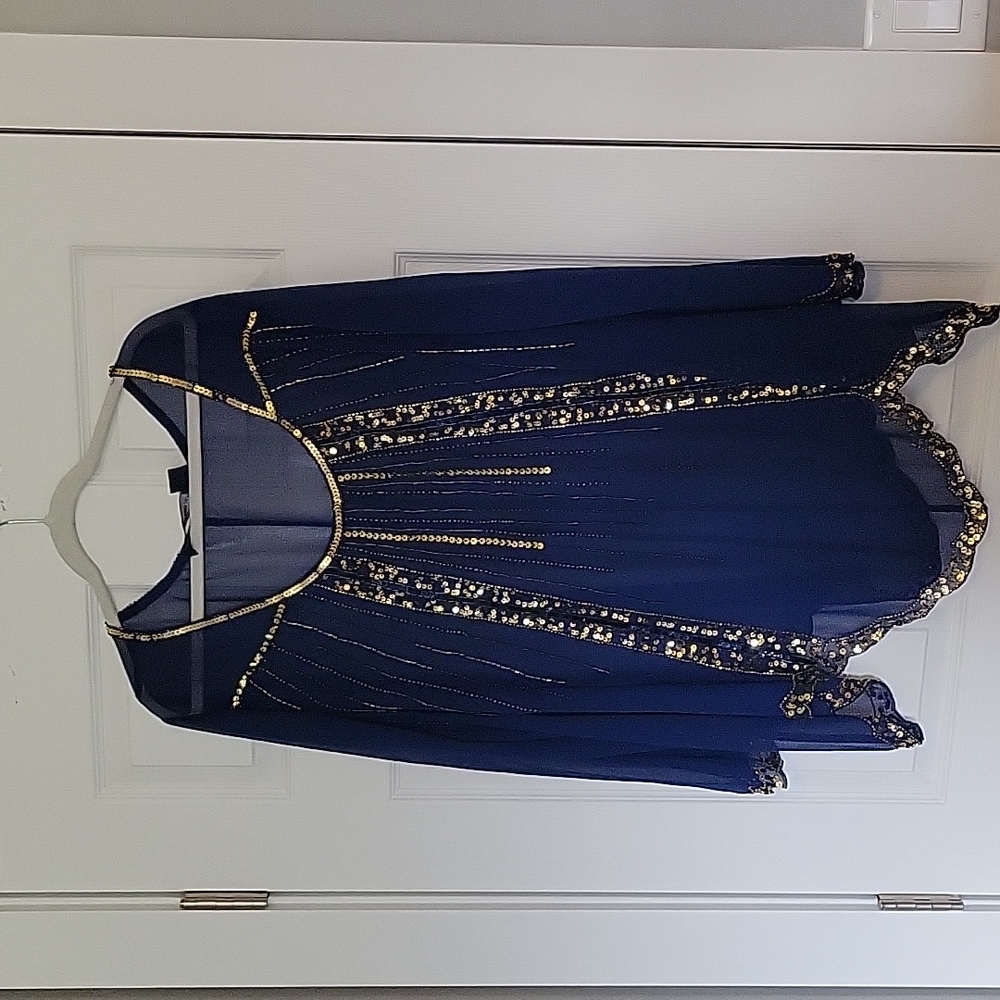 Sheer Sequined Over Blouse